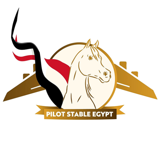 Pilot Stable Egypt (Horse Club Marsa Alam)