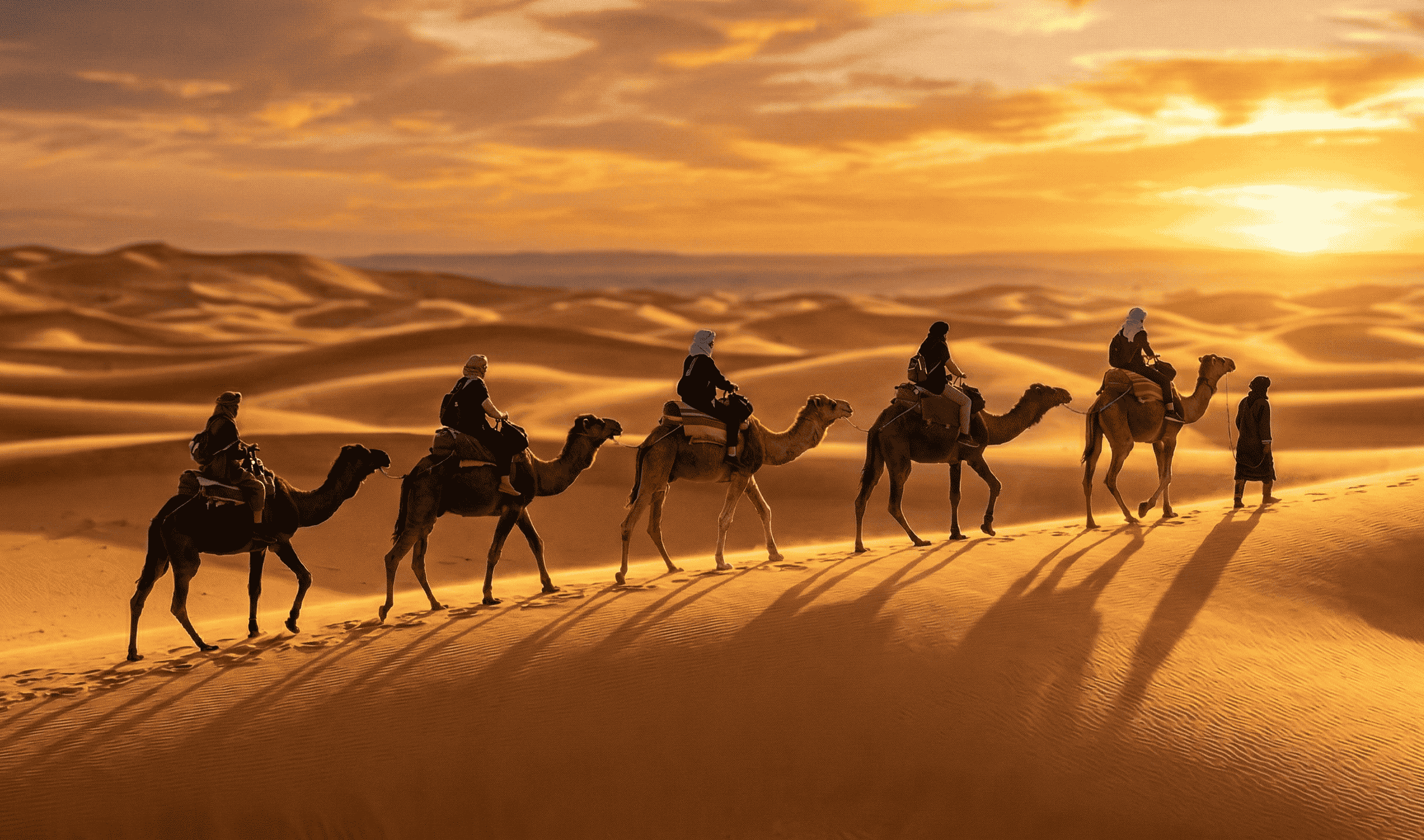 Camel ride 